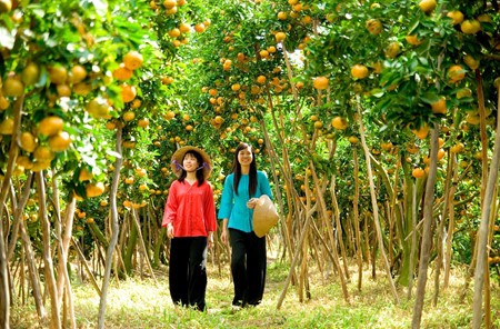 Lai Vung Mandarin Garden - ảnh 3